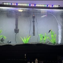60 Gallon Fish Tank Aquarium 
