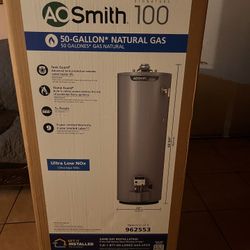 A.O. Smith Signature 100 50-Gallon