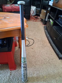 Basketball bat