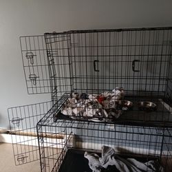 Medium Cage 