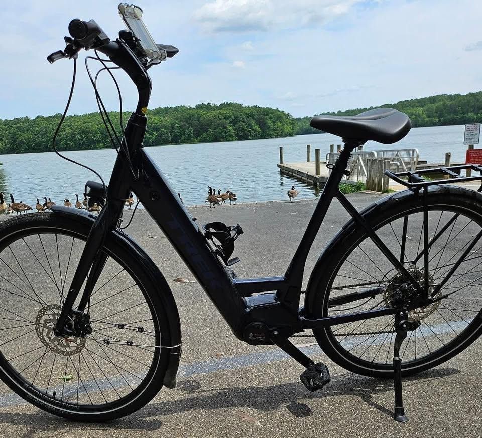 Trek-Verve+ 4S Lowstep