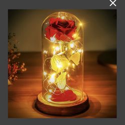 Norcalway Mom Gifts For Mothers Day From Daughter, Son, Husband - Beauty And The Beast Rose In Glass Dome - Birthday Gifts, Wedding, Anniversary Decor