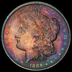 Beautifully Toned 1889p Morgan Silver Dollar 