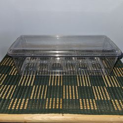 Eggs plastic container with lid