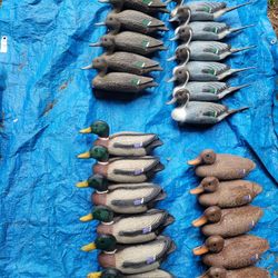 Duck Decoys 