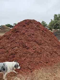 Red Mulch