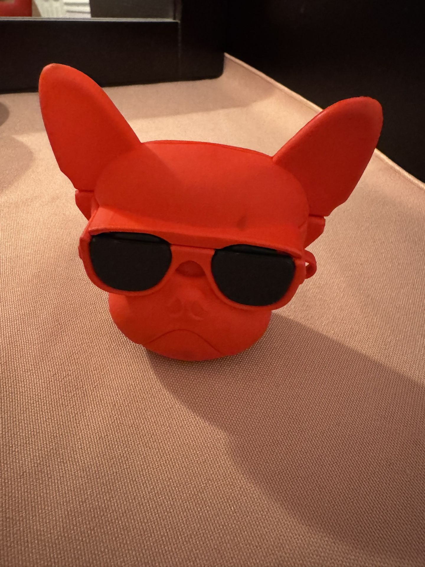 Case for iPhone Headphones 