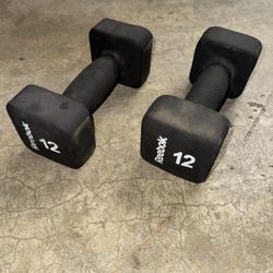 12lb Dumbbell Set