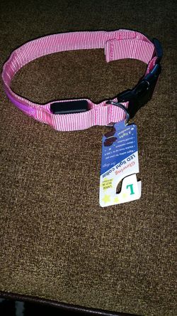 Collar para perros 🐶