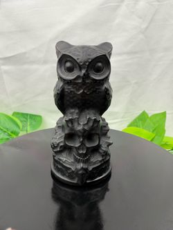 Crystal Obsidian Owl on Skull