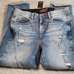 Torrid store jeans sale