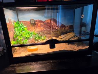10 gallon reptile tank $25
