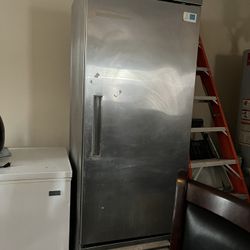 Fridge (edesa Brand)