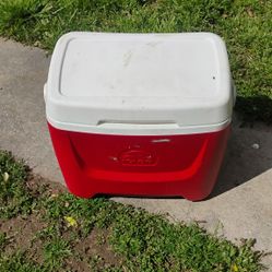 Igloo Cooler 