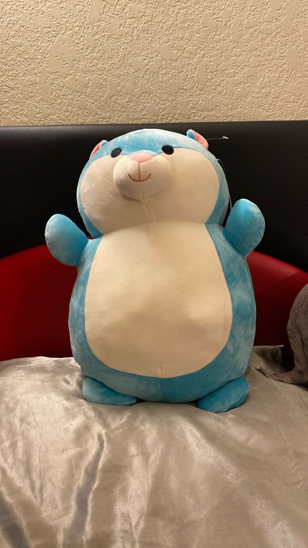 New Hobart Squishmallows