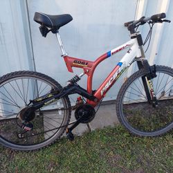 Dual suspension mountain bike