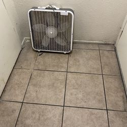 Abanico En 8 Dolares 