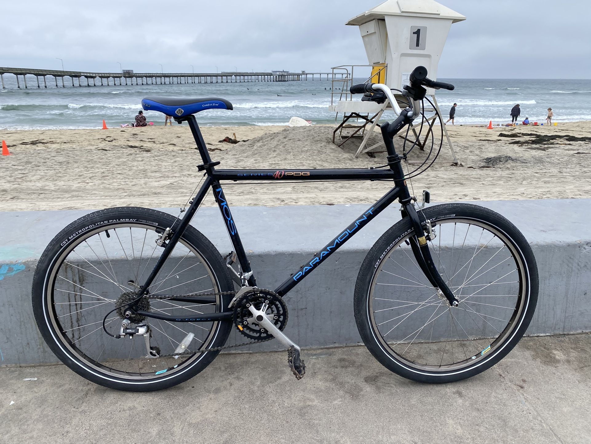 Schwinn Paramount PDG Mountain Bike
