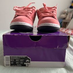 Size 8.5 Nike SB