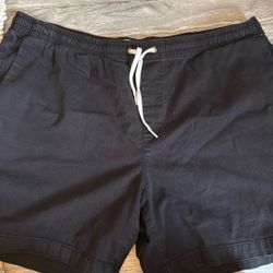 Men’s Pacsun Shorts