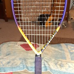 Ektelon Long Body Wall Beater Turbo Pro