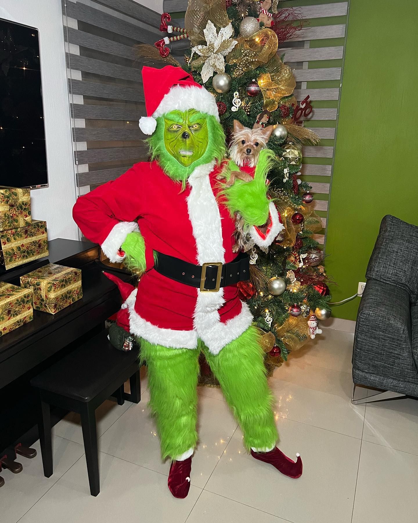 Adults The Grinch Costume Xmas Party Cosplay Christmas Santa Fancy Dress Outfits