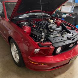 2008 V8 Mustang Convertible 