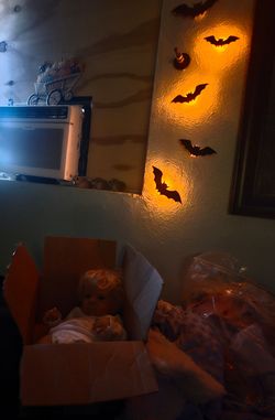 Reborn oddities