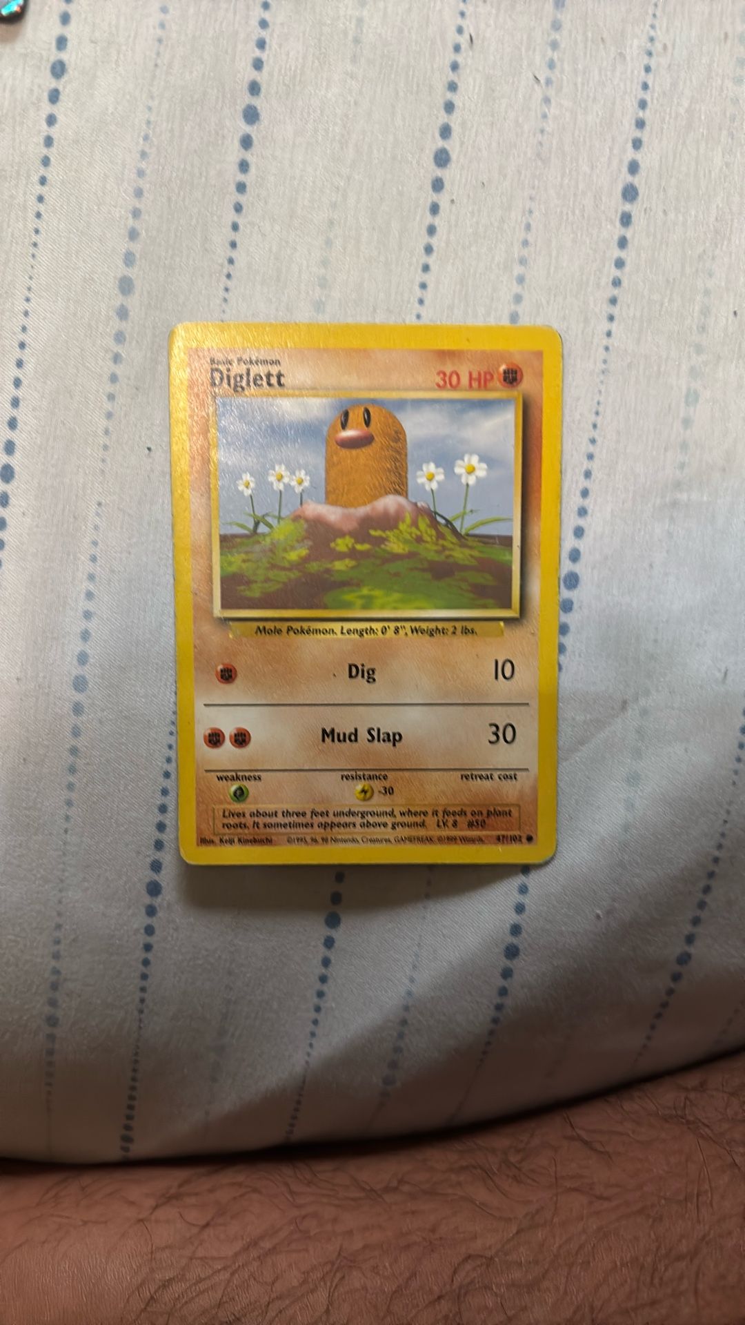 Diglett