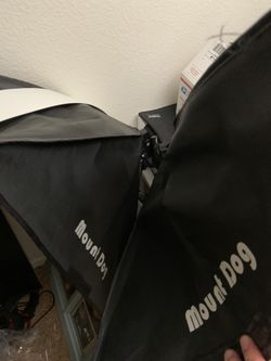Mount dog studio lights