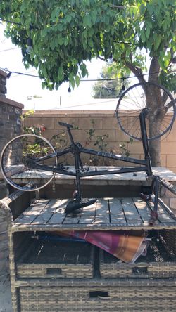 Elite bmx