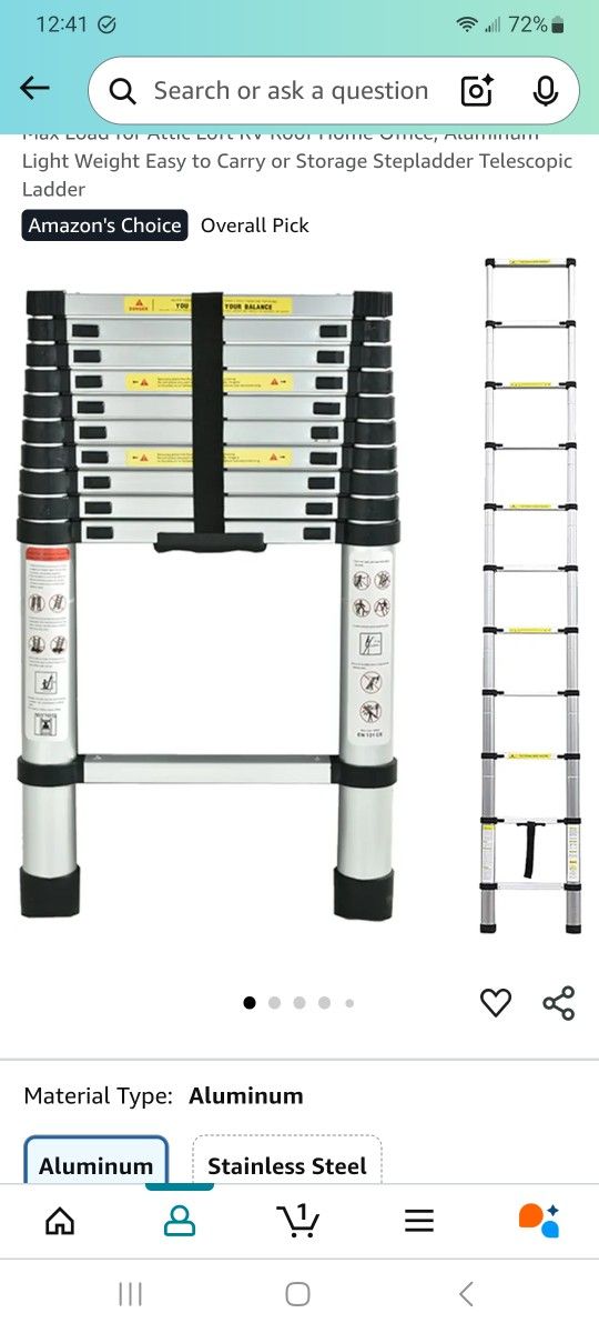 Extendable Ladder
