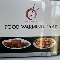 Food Warming Tray