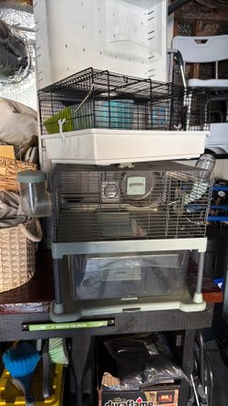 Hamster bundle