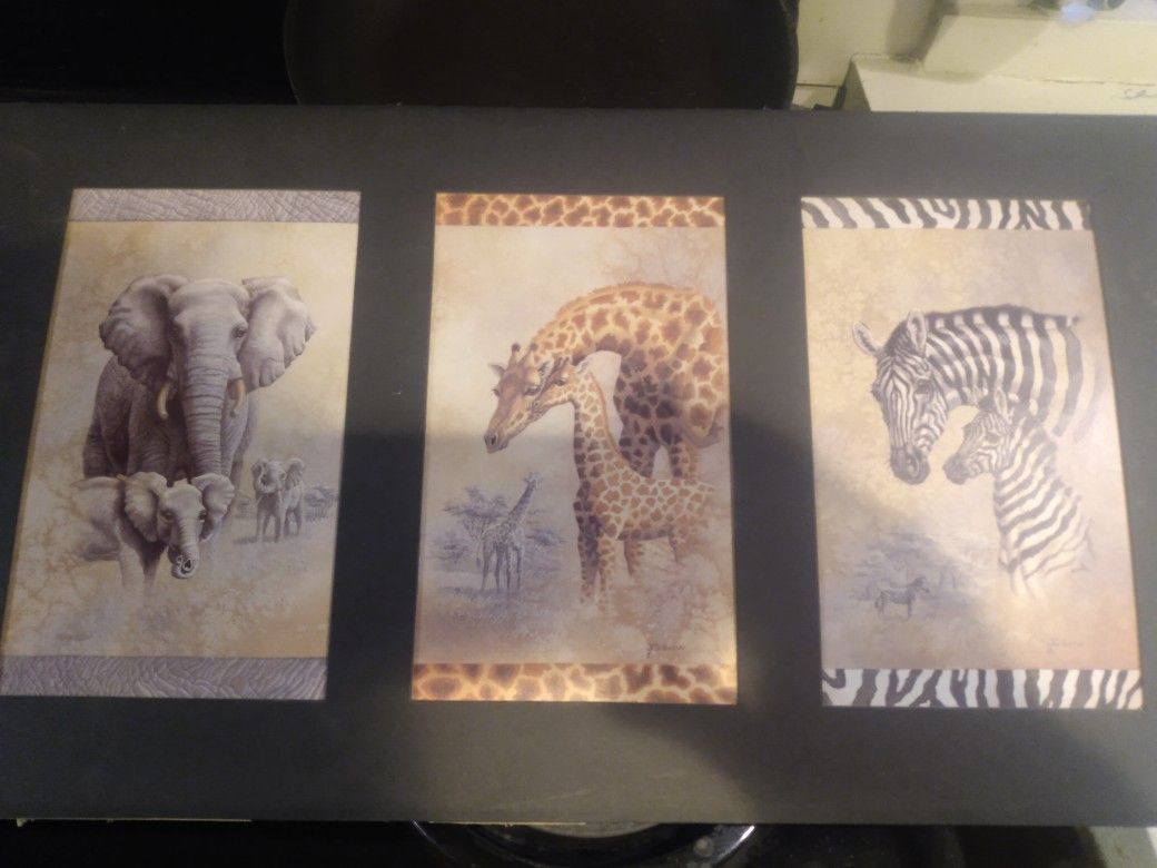 Animal Print On Cardboard