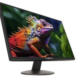 Sceptre 24in LED Monitor 