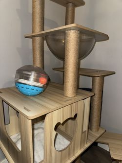 Cat Tree