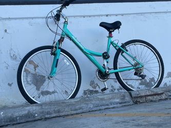 Nishiki mountain bike