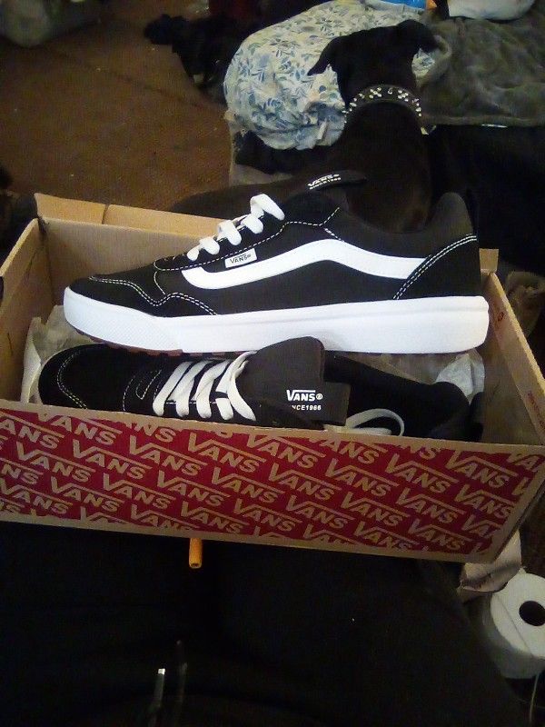 10 1/2 Mens Brand New Vans