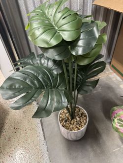 Faux Plant