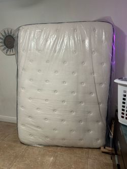 Sealy Matress