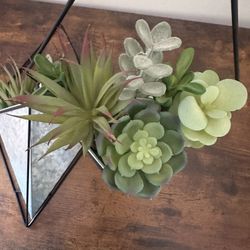 Artificial Succulents 