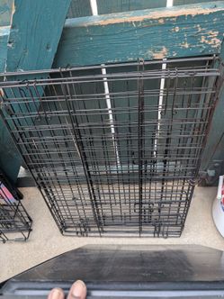 Folding Wire Dog Crate with Tray