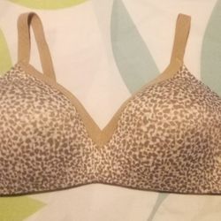Unknown Brand 36B New