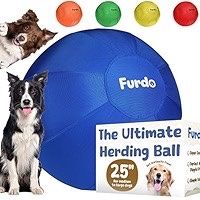 Furdo 25” Herding Ball For Dogs
