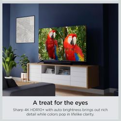 Roku Smart TV – 65-Inch Select Series 4K HDR RokuTV with Roku Enhanced Voice Remote, Brilliant 4K Picture, Automatic Brightness, & Seamless Streaming