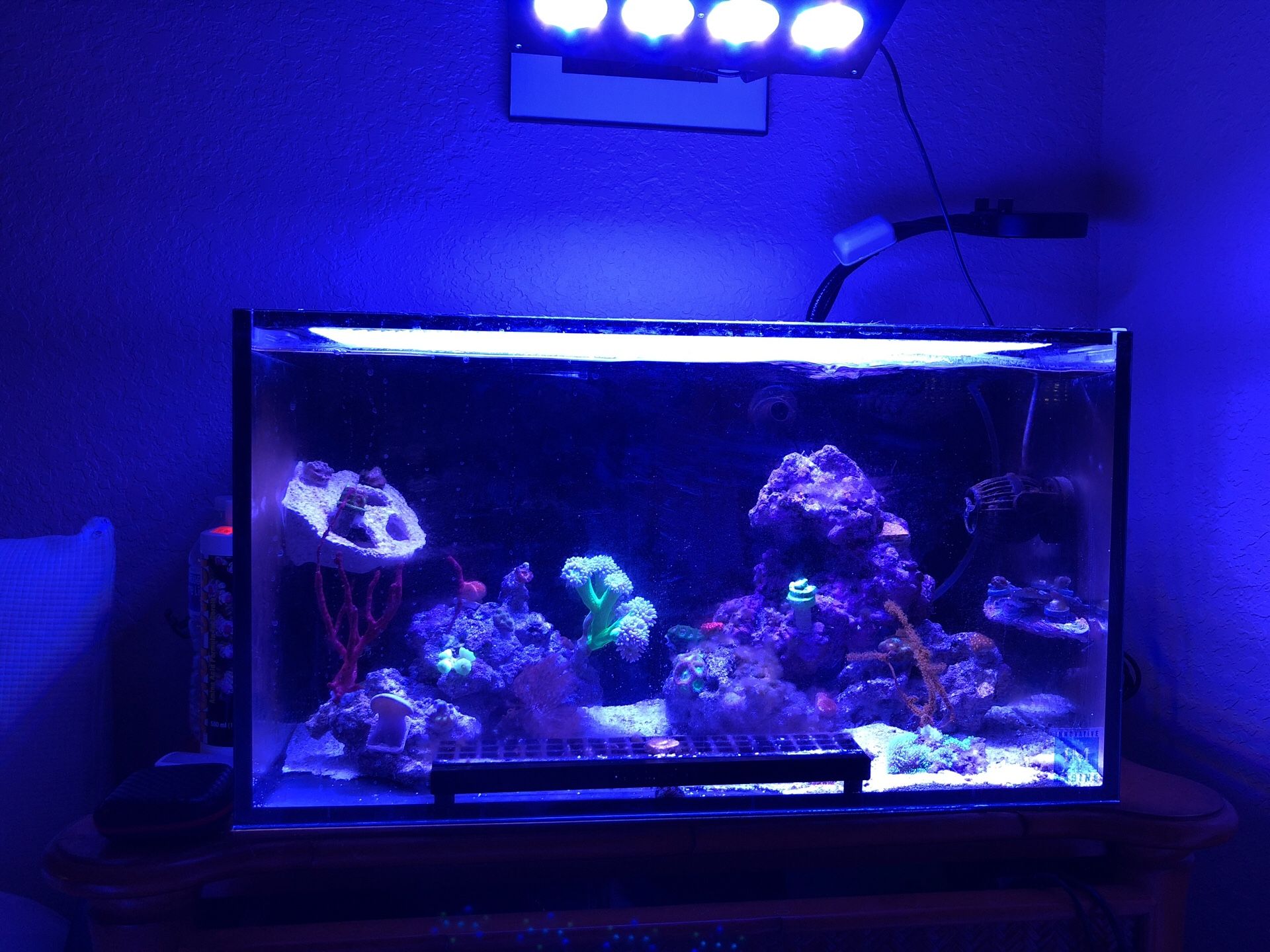 Innovative marine 20 gallon