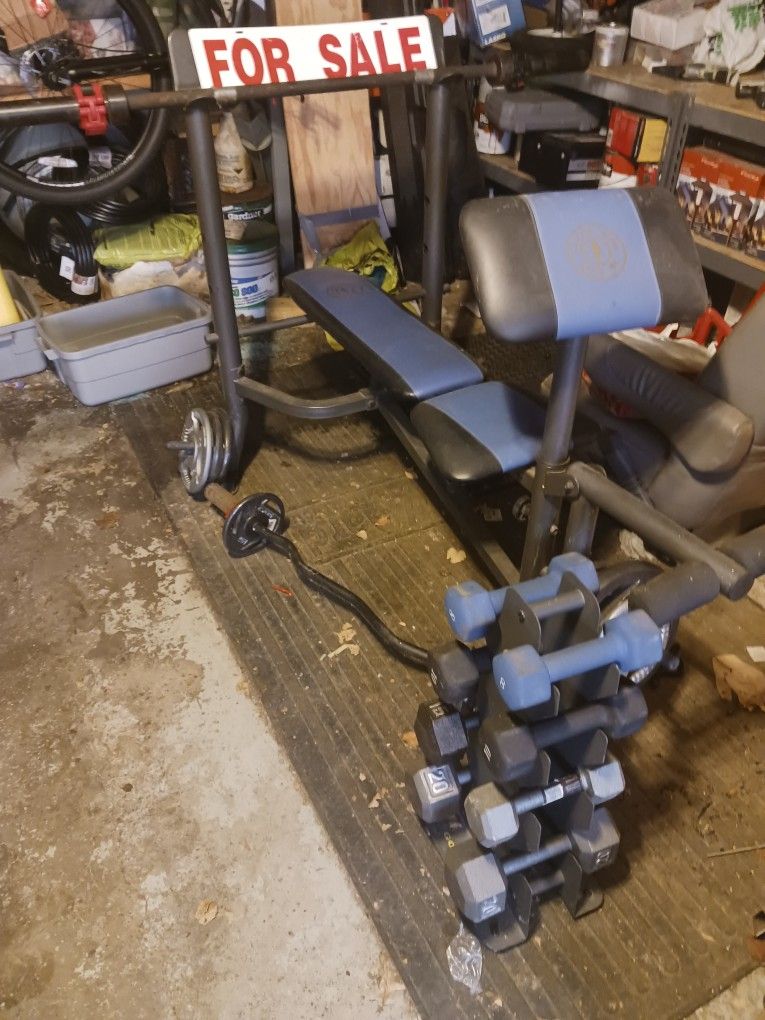Gold's Gym Bench Press Weight Lifting Set