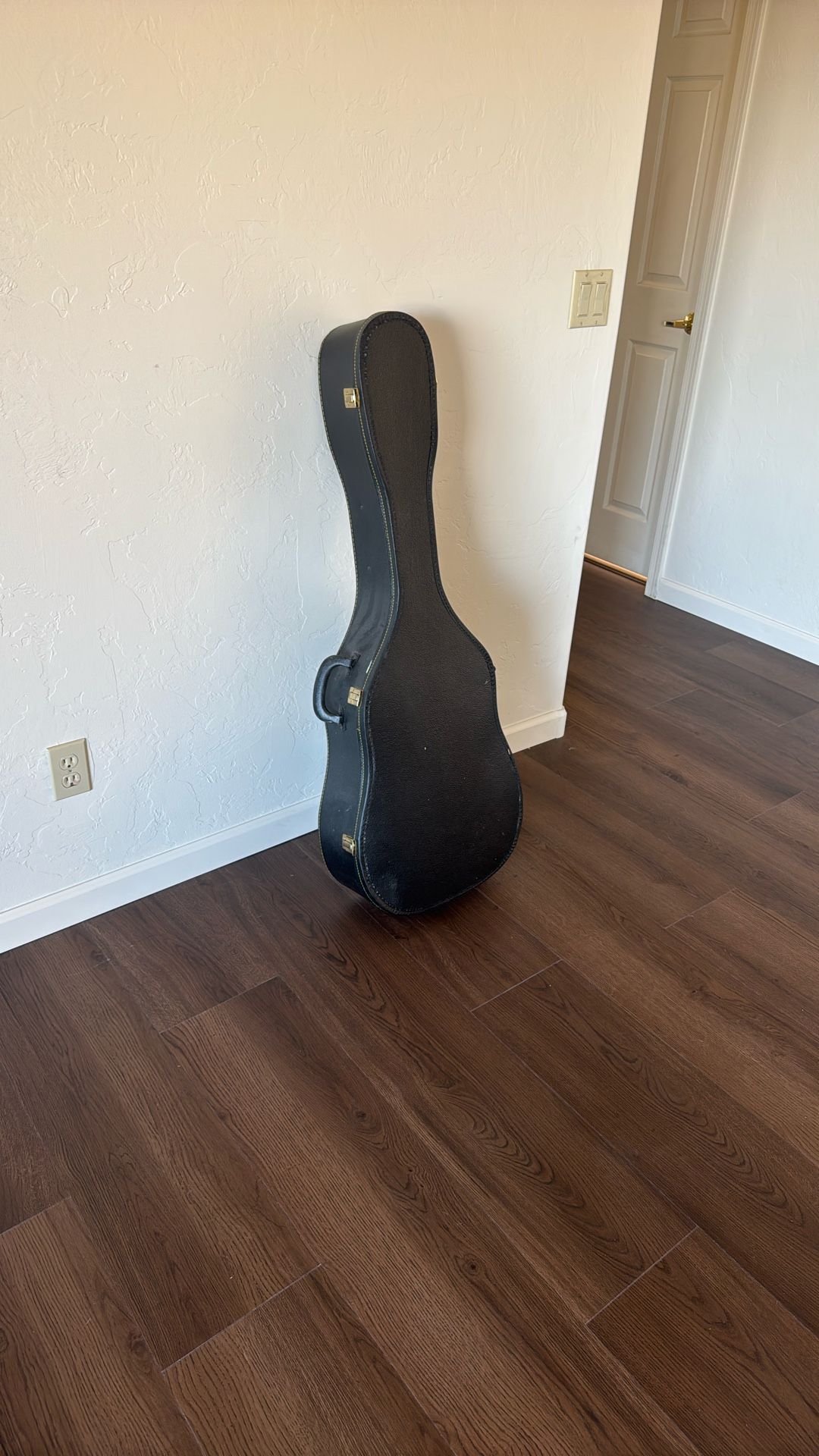 Acoustic Guitar Case