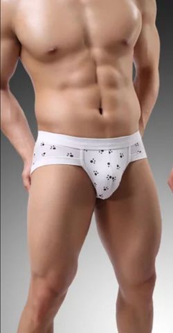 Men's Brief Underwear
